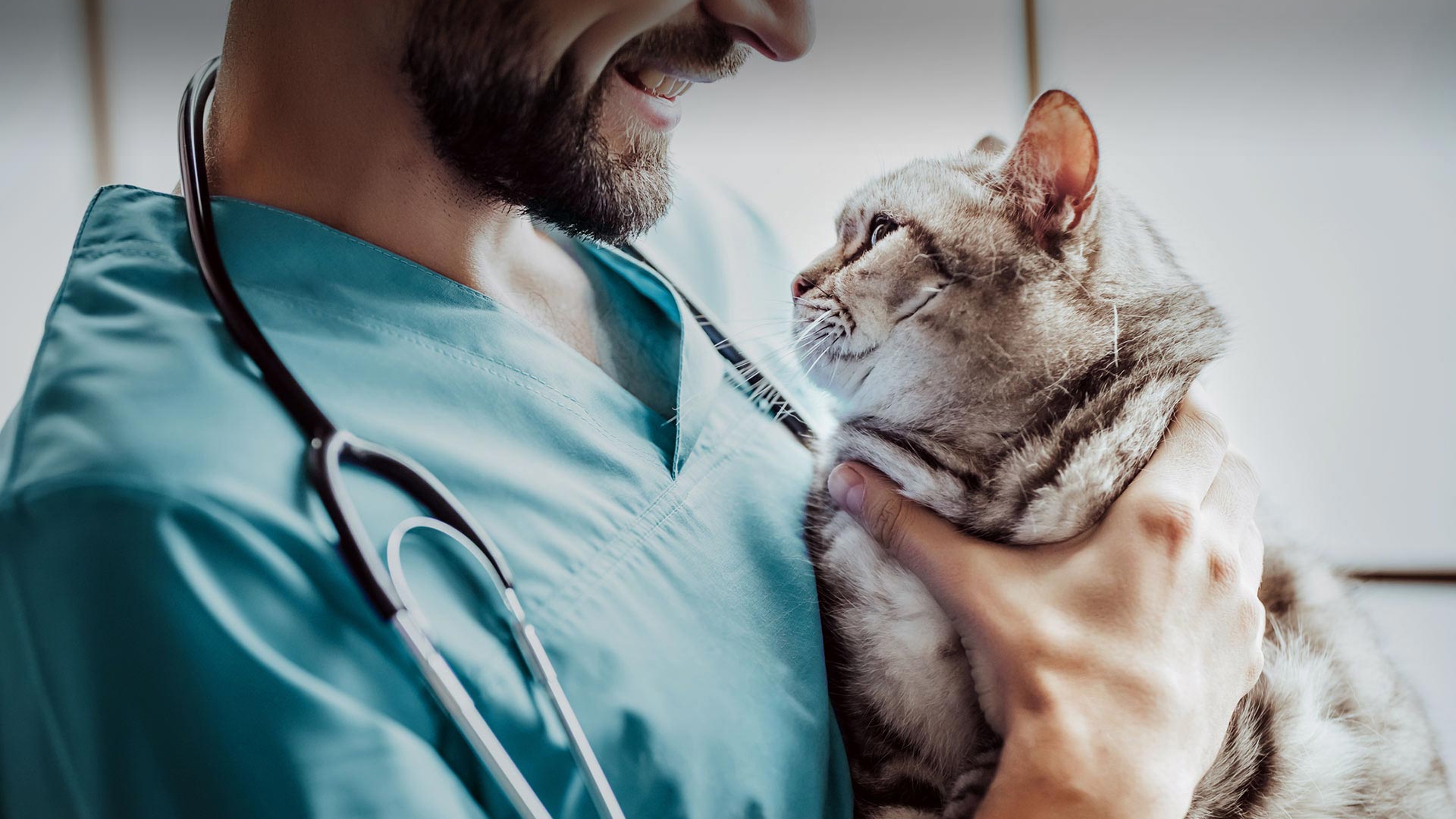 Altınordu Veteriner